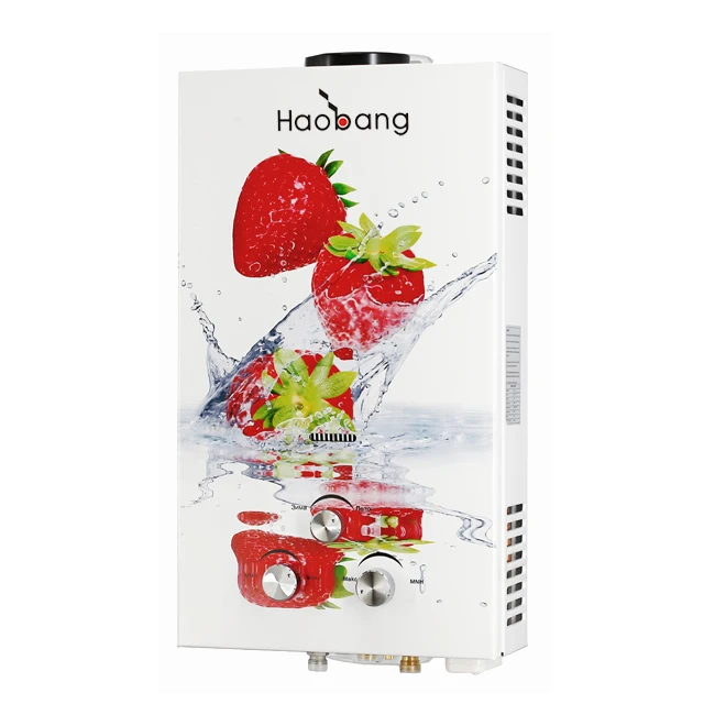 Home Appliance Junkers Wall Mounted Tankless Instant Gas Hot Water Unit Heater