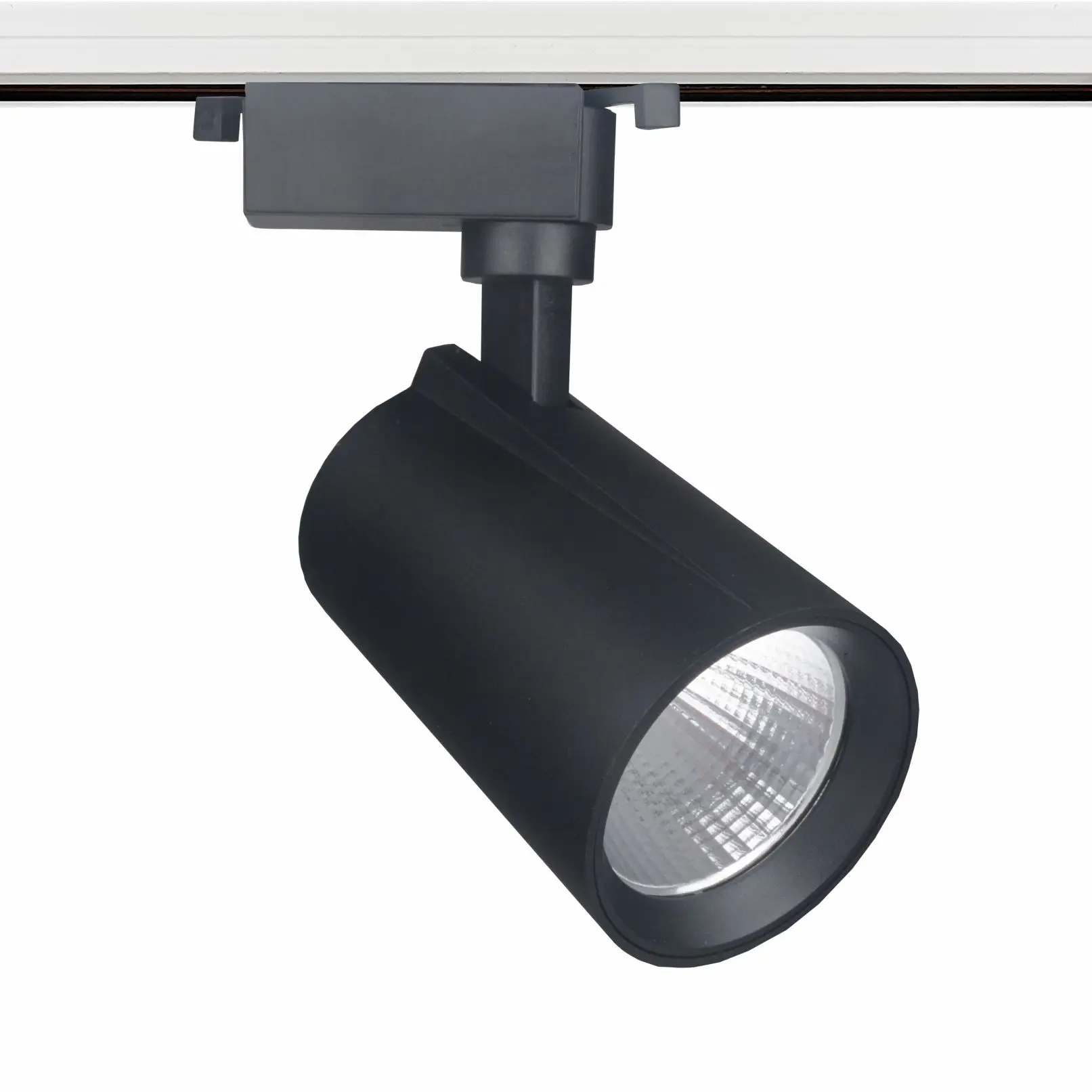 Competitive Wholesales 30W COB 2 wires 3 Wires Shop Focus Lamp Retail Spot Lighting Fixtures Spotlights Retail LED Track light