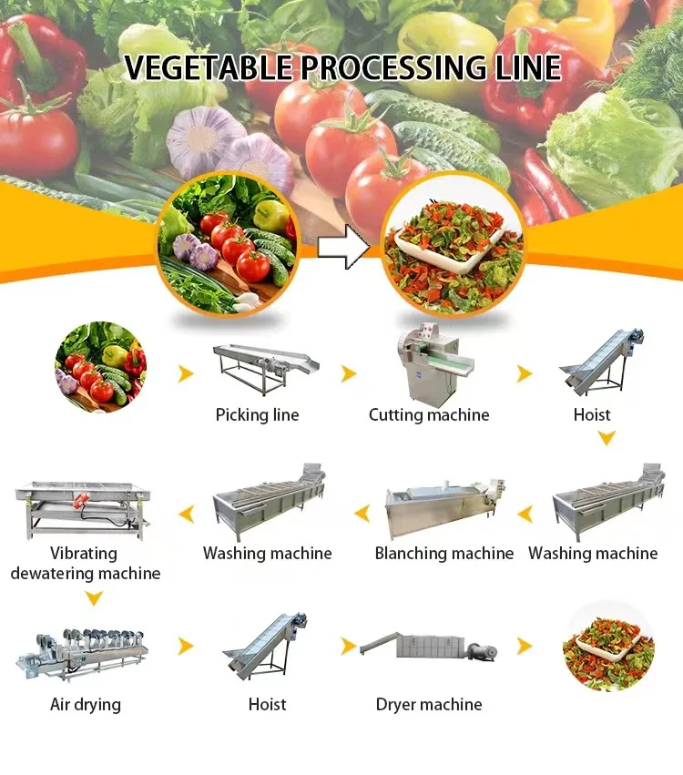 Industrial Stainless Steel Vegetable and Fruit Bubble Cleaning Machine Food Processing Line Vegetables Processing Line
