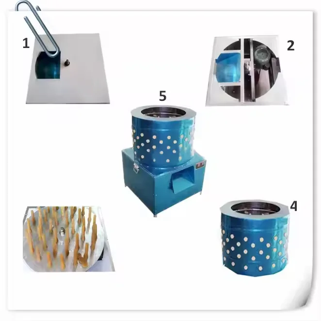 Automatic Electric Poultry Chicken Plucker Machine Quail Duck Plucking Machine For Sale