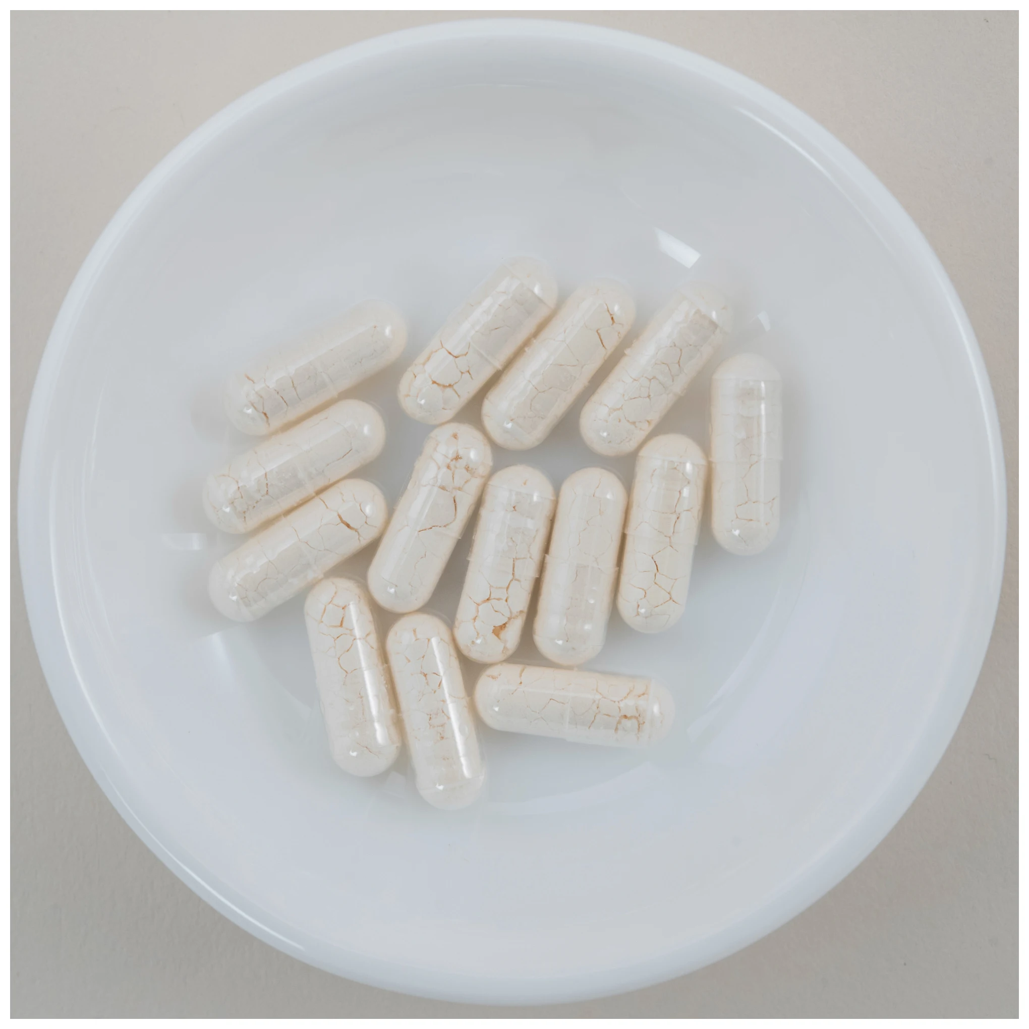 Japan mongolia nomads live bacteria milk alcohol health supplement powder