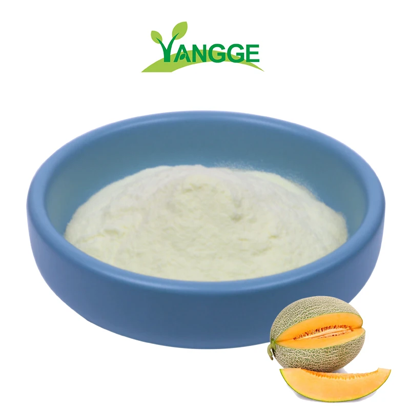 
Best price100% organic Hami melon extract powder cantaloupe melon powder 