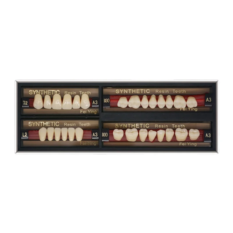 OEM Factory Price Dental Acrylic Resin Teeth Removable Dental Prosthesis