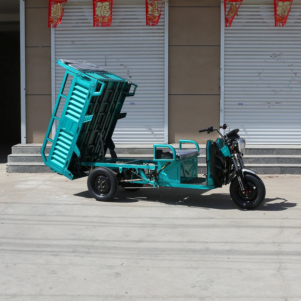 High Quality 1000W Electric Pedicab Family Use E-Trikes Electric Bike 3 Wheel Electric Tricycle With Rear Basket