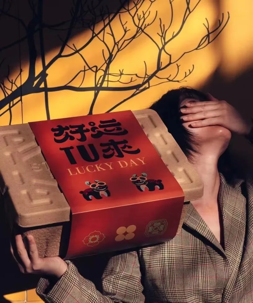 Biodegradable recycled paper material natural fiber molded pulp container paper packaging storage box for household