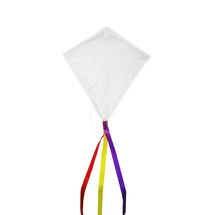 Beach Trip Outdoor Games Single Line with Tail Easy Flying Colorful Life Huge Kite For Kid And Adult