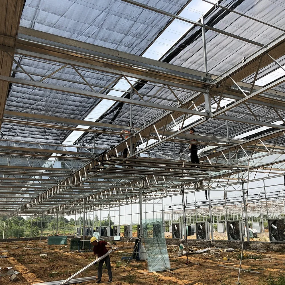  Многопролетная стеклянная теплица Harvest Vale Venlo сельскохозяйственная для выращивания овощей цветов лекарственных