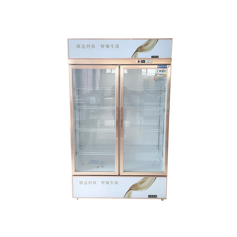 Drink Refrigerator Commercial Freezer display fridge for drinks 2 Glass Door Upright Vertical Type Display