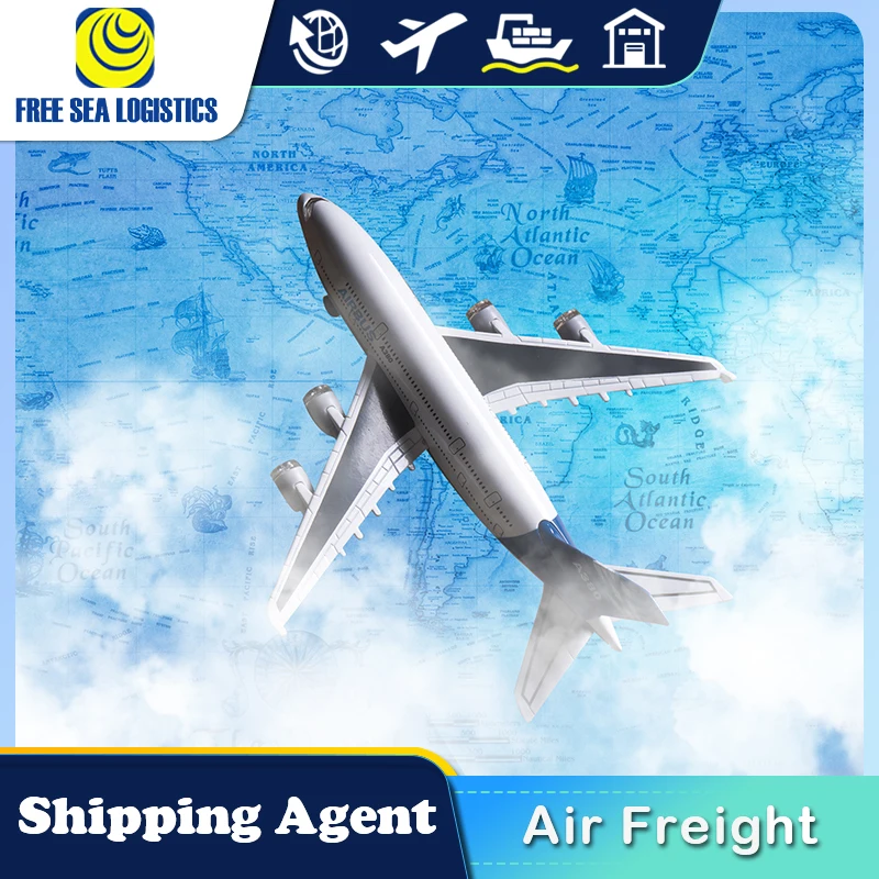 Shipping Agent Sea Freight Forwarder  From China To Saudi Arabia Egypt Turkey