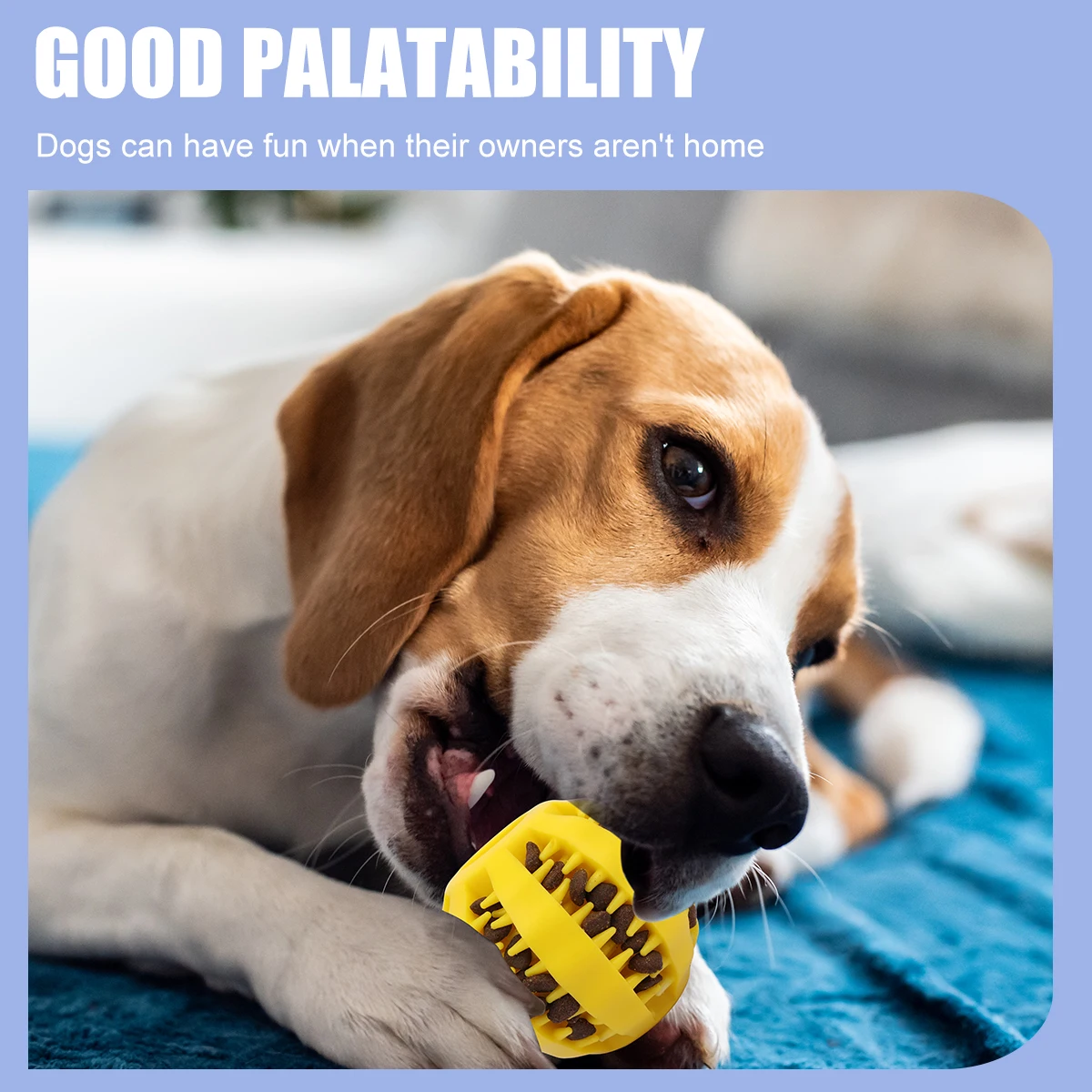 Custom TPR Rubber Dog Ball Interactive Puzzle Treat Dispenser Dog Toy Durable Slow Feeder Teeth Cleaning Chew Pet Toys for Dog