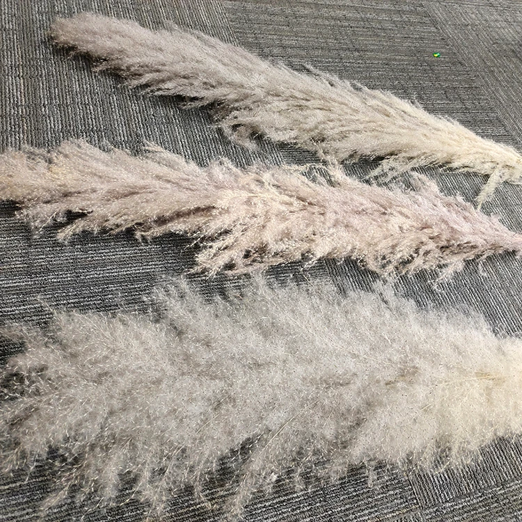 Factory direct sale wedding Dry flowers decoration Pampas grass flower