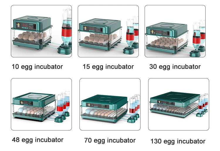 15 Eggs Automatic Water Supply Fully Automatic Incubator Chicken Egg For Sale