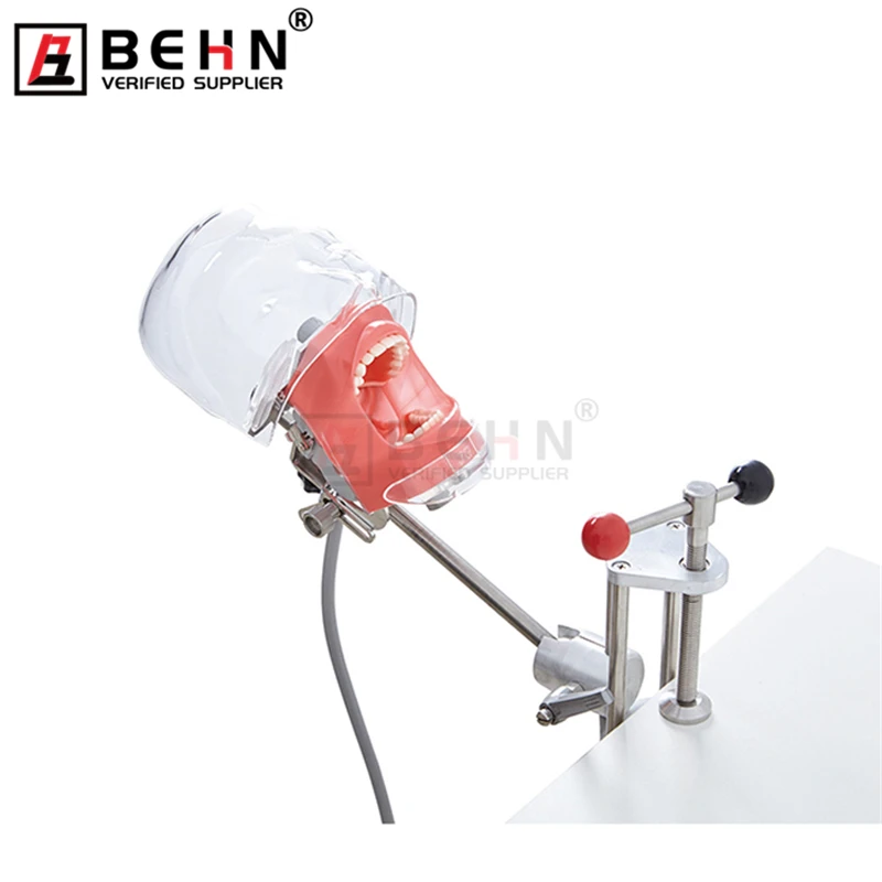 Dental Teeth Mode Simulator Head Model Can Installed On The Pillow Of Dental Chair Used For Dentist Teaching Dental Equipment