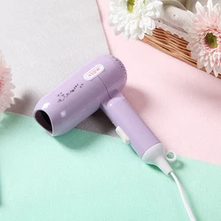 Hot sale factory direct oem hair travel case mini hair dryer Cheap Price