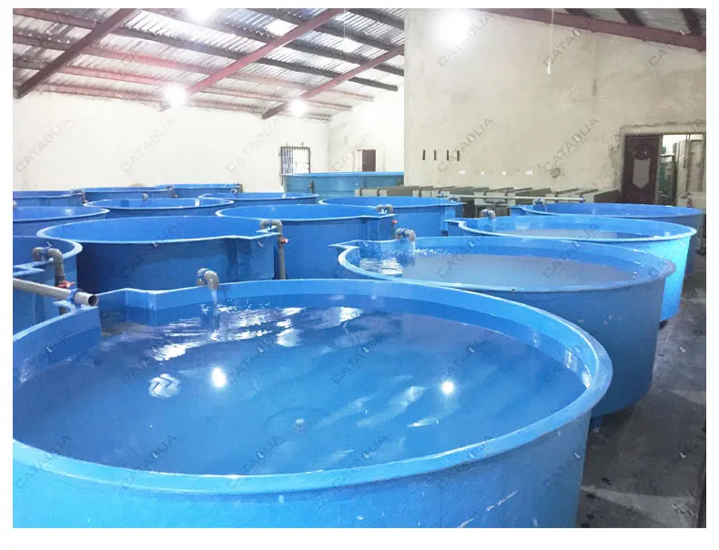 CATAQUA Fish Farm Equipments Ras Fish Farming System Recirculating Aquaculture System For Fish Culture