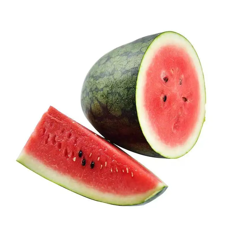 Best Selling Factory Price Fresh Watermelon High Quality Fresh Seedless Watermelon Sale Bulk Fresh Fruit Watermelon