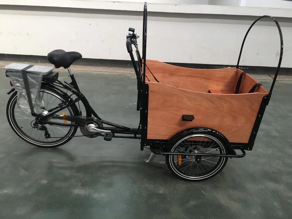 Cheap Price 250W 36V Cargo E Bike 3 Wheel Family Delivery Electric Cargo Tricycles