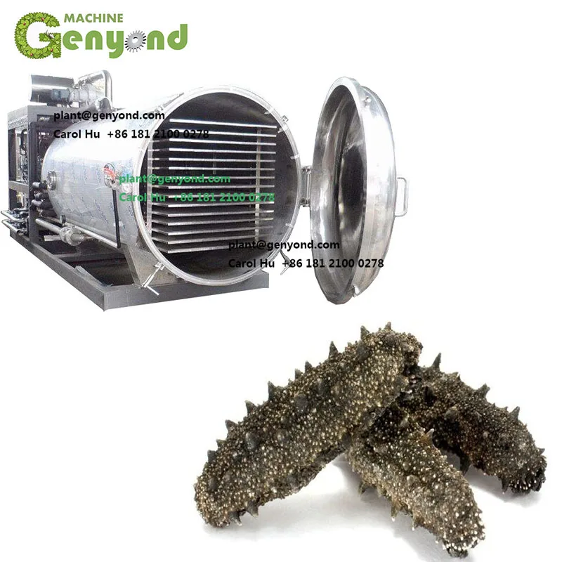 industry vacuum freeze drying equipment prices