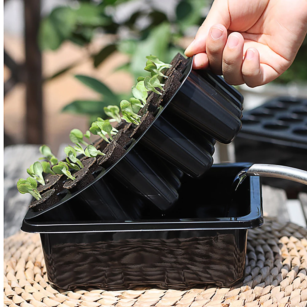 Wholesale Seed Starter Planting Pods With Grow Sponges For Soil Hydroponics Garden Farm Cabinet Container Bertical System