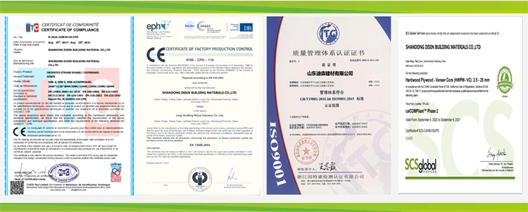 disen group certificate.jpg