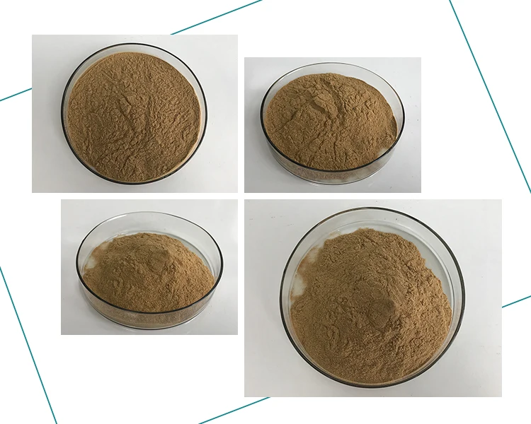 Insen Supply Natural Extract Fenugreek Seed Powder