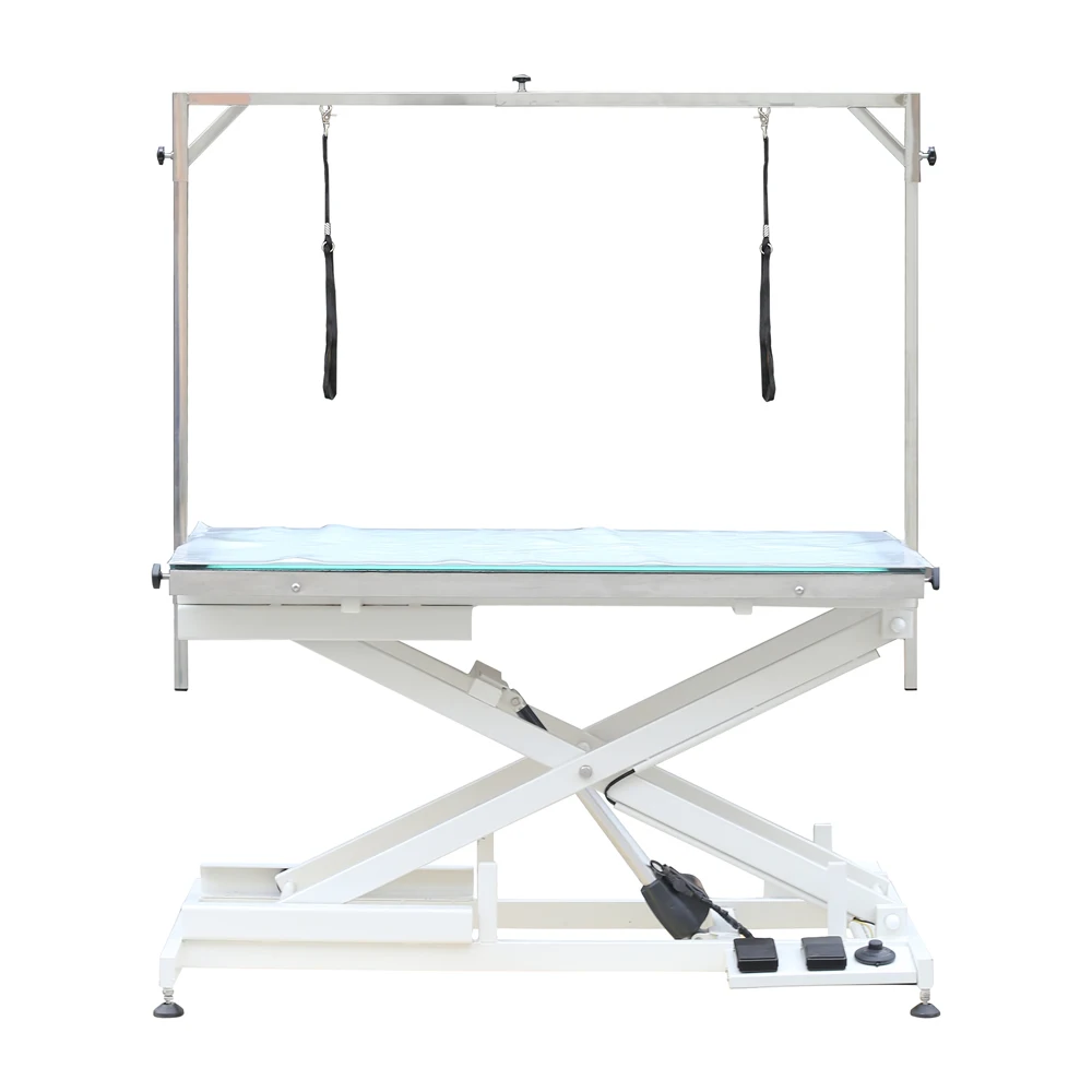 Aeolus FT-829 ACE Electric Lifting Pet Grooming Table with LED Light Dog Grooming Table