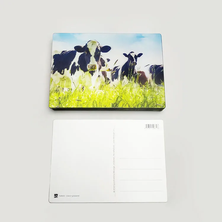 Sedex Audit Factory Supply Good Quality Custom Print Eco-friendly Plastic Lenticular 3D Holographic Postcard