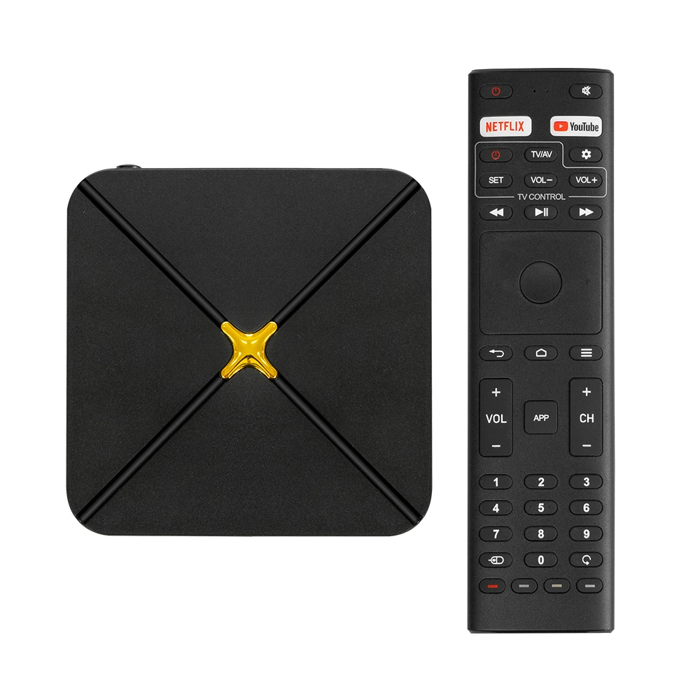 Big World 4GB/32GB AMLogic TV Box All Format Login Panel Support Dual WiFi Interface Linux Android 13 with ATV