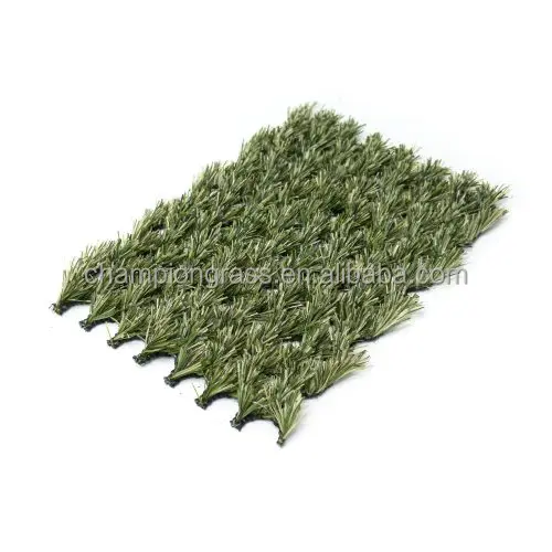 Chinese Factory Direct for Ultimate Landscape Hybrid Grass Innovation