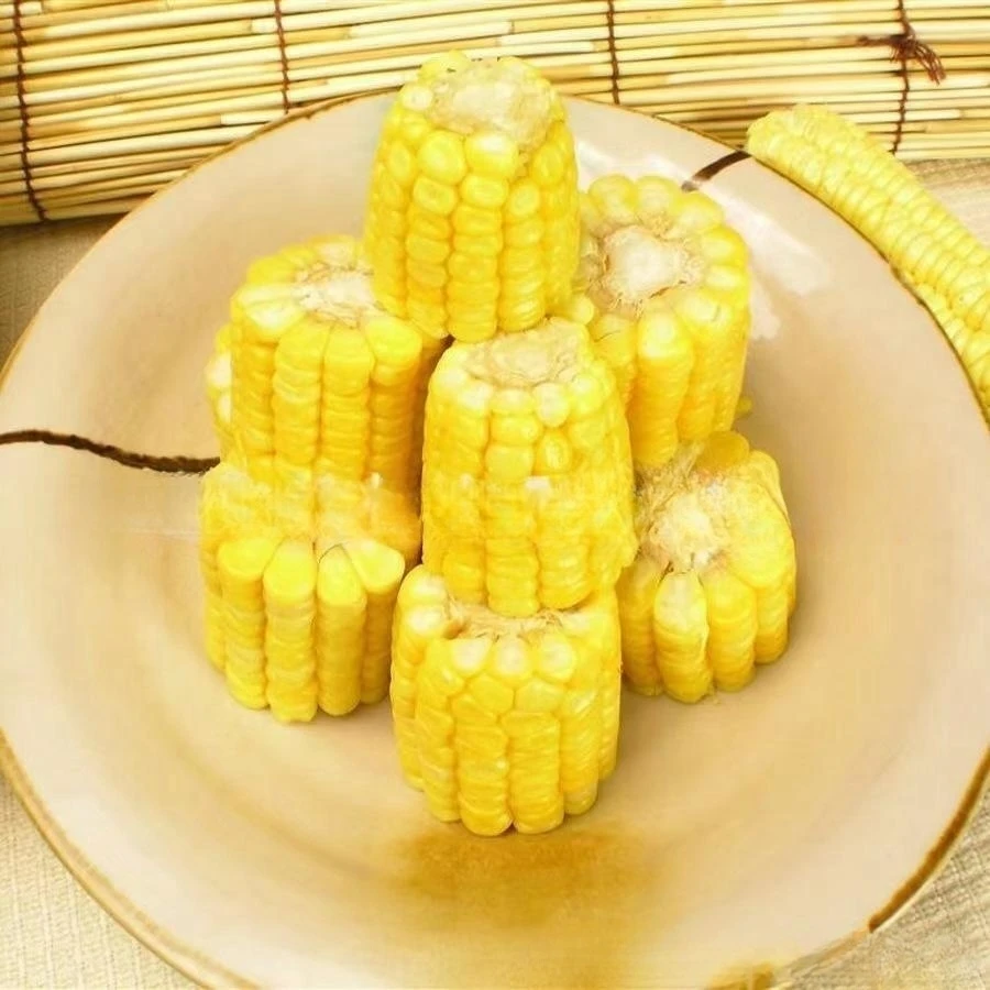 304 Stainless Steel Steamer Basket Commercial 48L Electric Sweet Corn Food Warmer Portable Multi-Purpose Hotel Use Electric Food