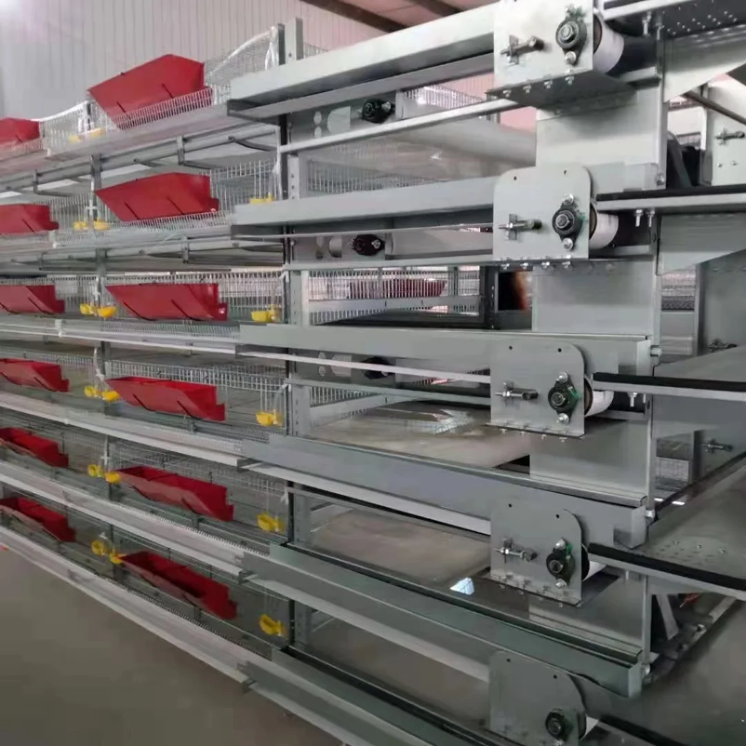 Best Price H-Type 6-Tier Automatic Quail Layer Egg Cage Hot-Dip Galvanized Steel for Birds with Feeders and Battery Included