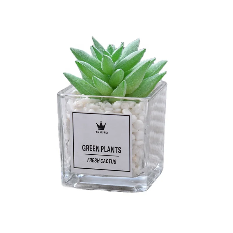 
wholesale hot selling home decor artificial succulent plants glass pot mini bonsai 