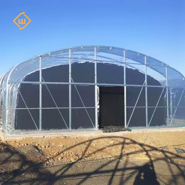 Modern automatic control equipment tomato strawberry single-span plastic film greenhouse