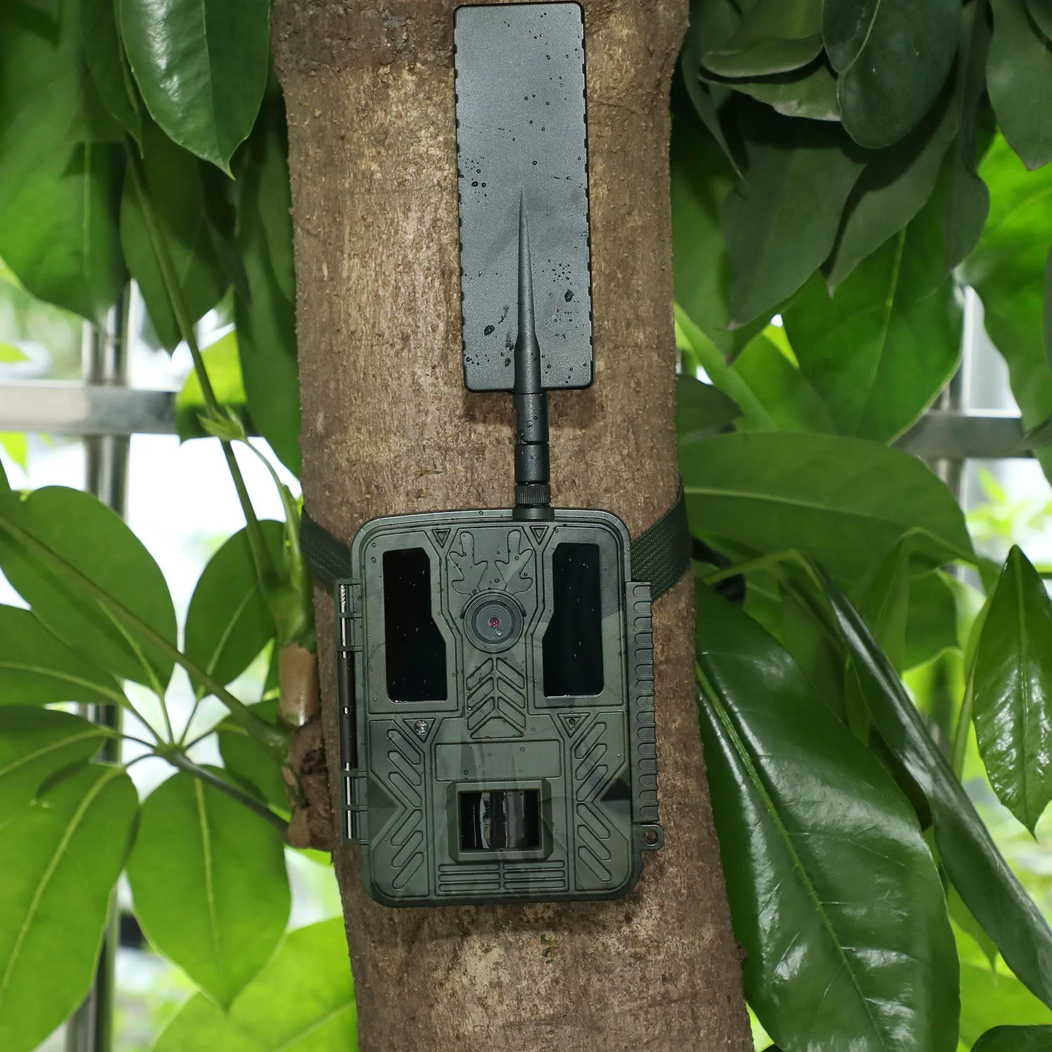 Outdoor 48MP App Cloud Storage Wild Camera Sim Card Hunting Camera 4G with SIM Card Wildlife Trail Motion Camera