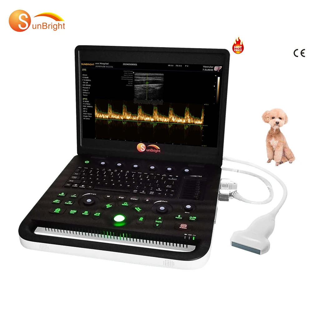 Laptop 15.6 inches ultrasonic echographe portable ecografo ultrasound vet ultrasound machine