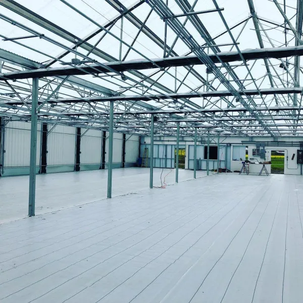 Hot Sale Auto Blackout Light Deprivation Greenhouse Hemp Dep Greenhouse Pc Sheet Greenhouse Agriculture Green House Equipment