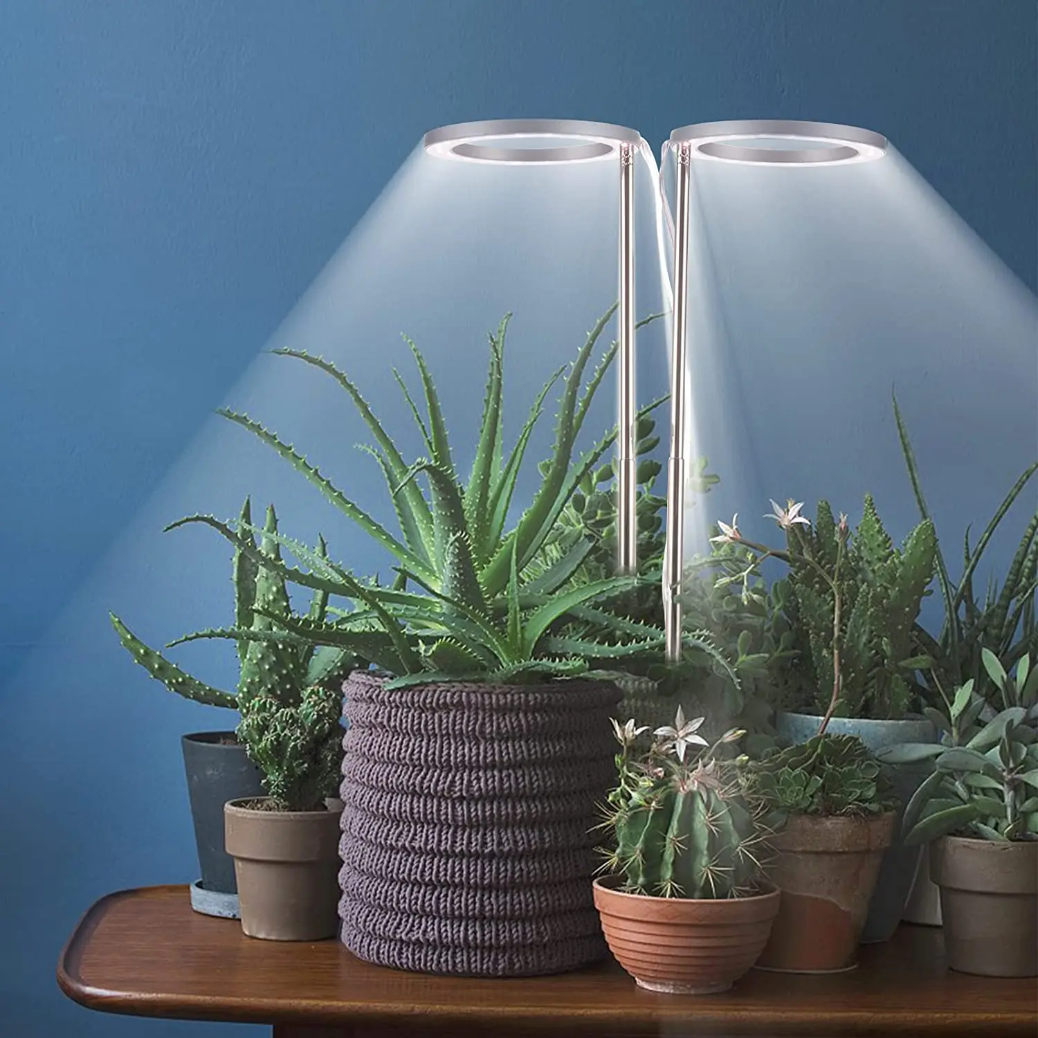 YLShine Professional Manufacturer Angel Single Ring Grow Light 5v USB Phyto Led Lamp For Indoor Plant Seedlings Home Flower