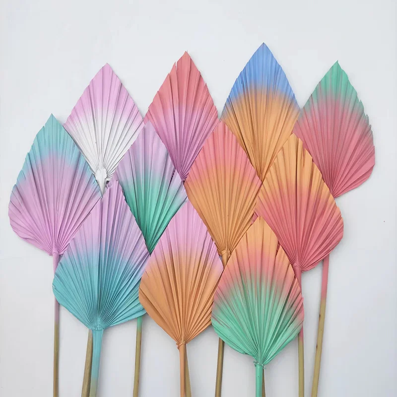 BX-2 Dried Palm Leaf Boho Style Natural Spears Plant dry flowers party decorations Decor Palm Leaves