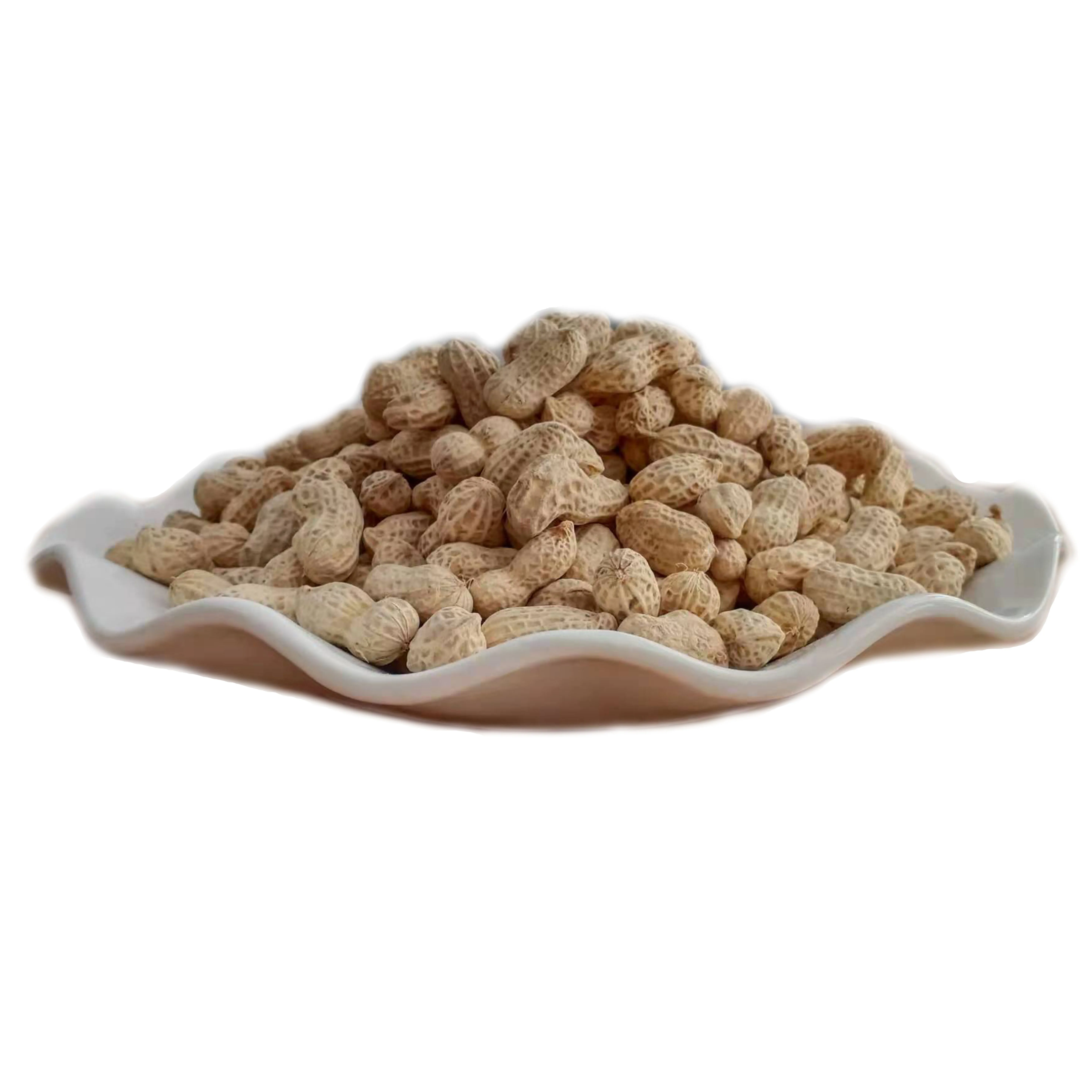 
Productive Bulk Packaging Salty Snacks Brine Is Peanuts Dry Roasted Peanuts Salted 
