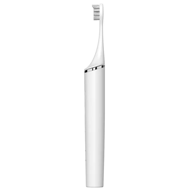 Bold Design High Quality Electric Toothbrush Sonic Powered Electric Toothbrush OEM Sonic Electronic Tooth Brush for Adult