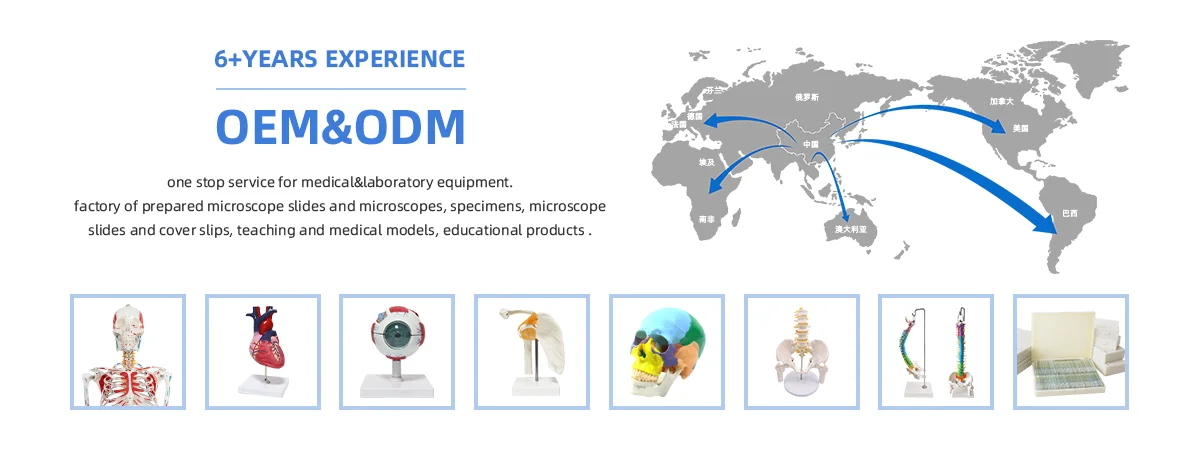 Company information-3.png