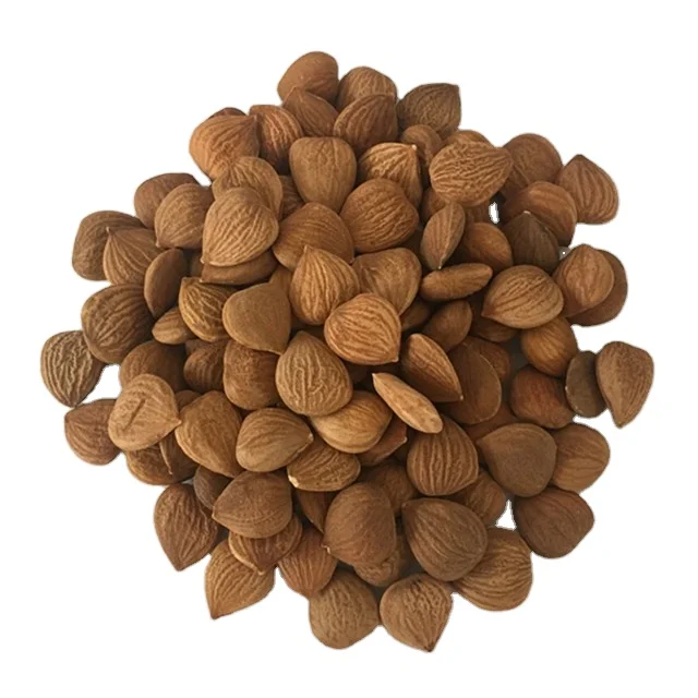 Quality Apricot Kernel