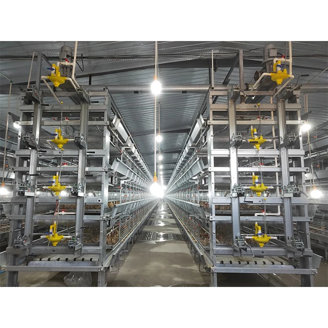 H Type Automated Pullet Brooding Cage Systems For Chicken Farm baby chicks cage for layers