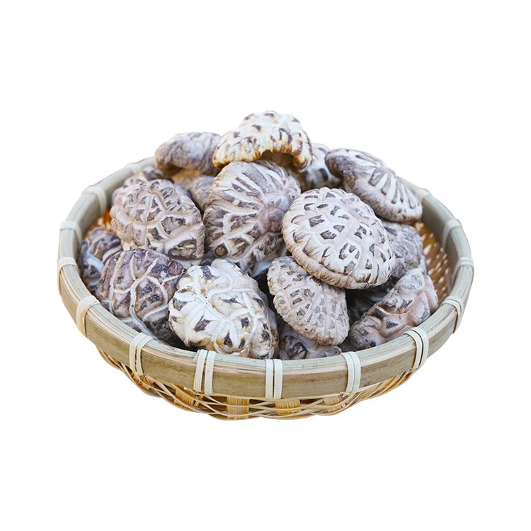 Органические зеленые грибы shiitake porcini Премиум
