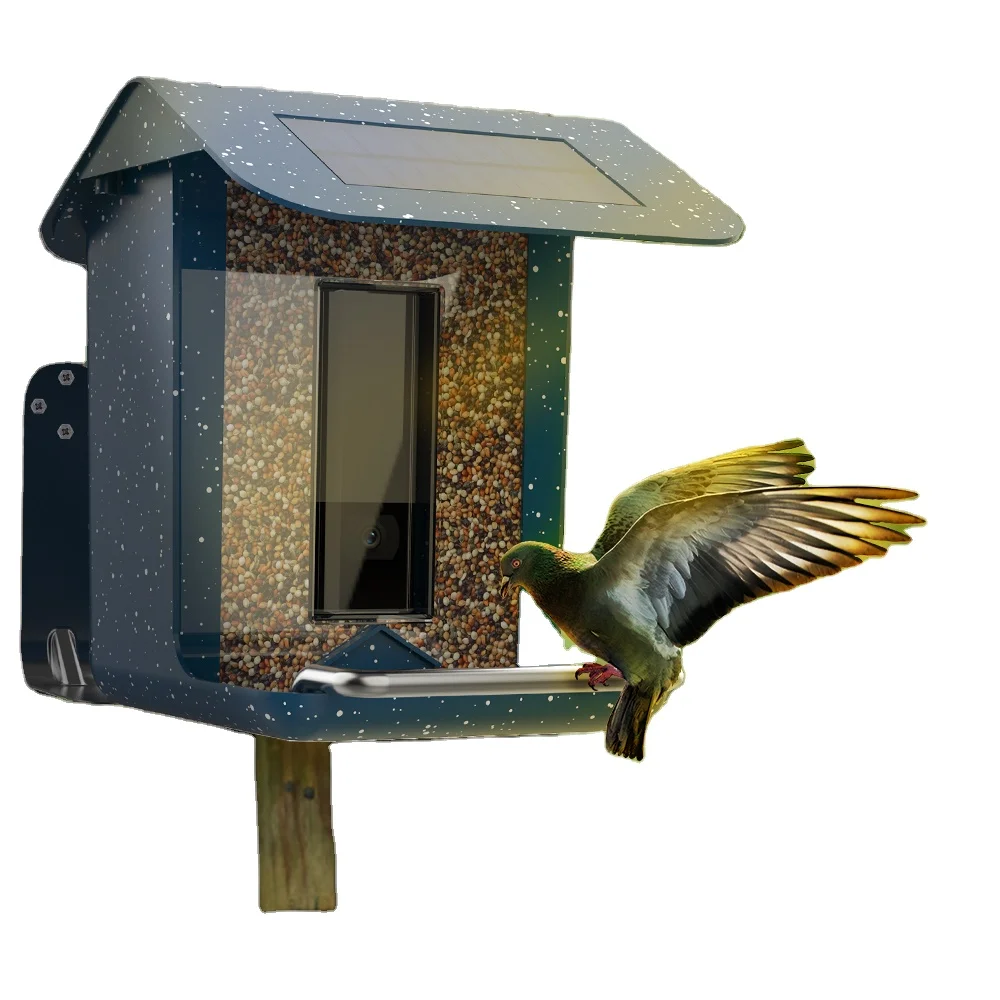 Bird watching smart feeder with camera for backyard garden wild bird feeding