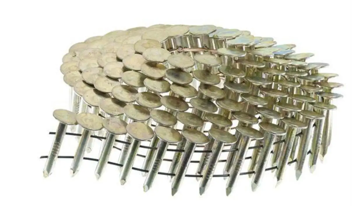 coil roofing nails high quality factory supply electro-galvanized plastic top umbrella roofing nails hot sale hot dipped