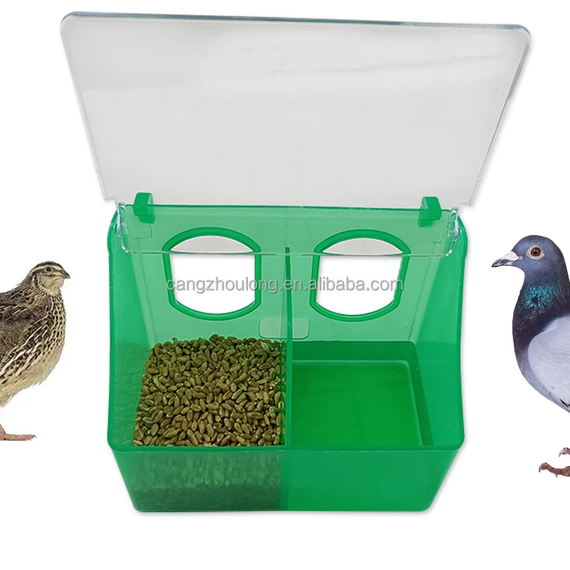 ZB LMB 07 Plastig Pigeon Breeding Food Seed Feeder Supplies 2 Hole Pigeon Feeder and Drinker Box