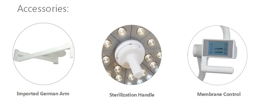 Medical led surgical light lamp Veterinary Examination Operation Lamp For Hospital