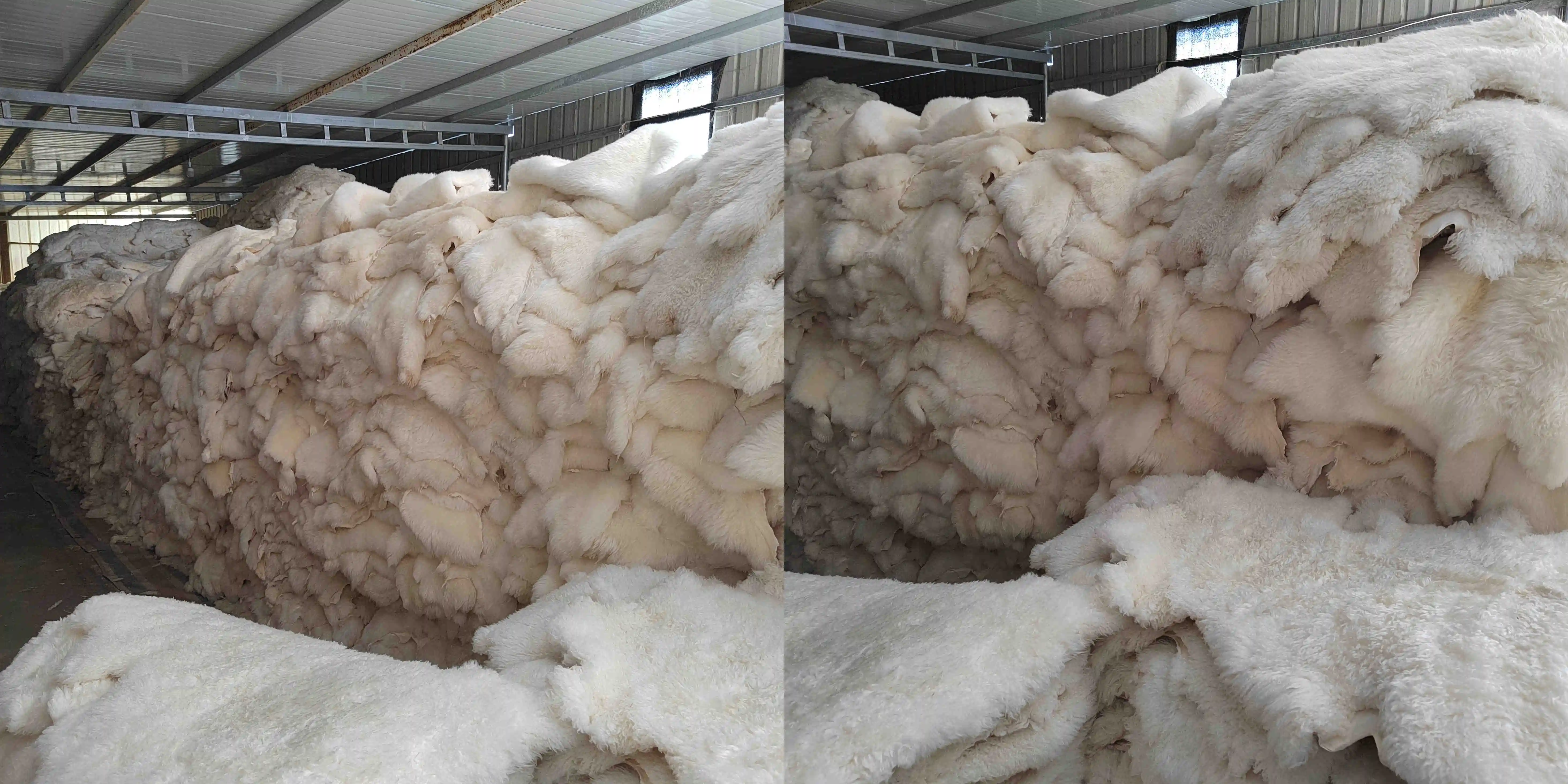 AUSTRALIAN sheepskin (2)