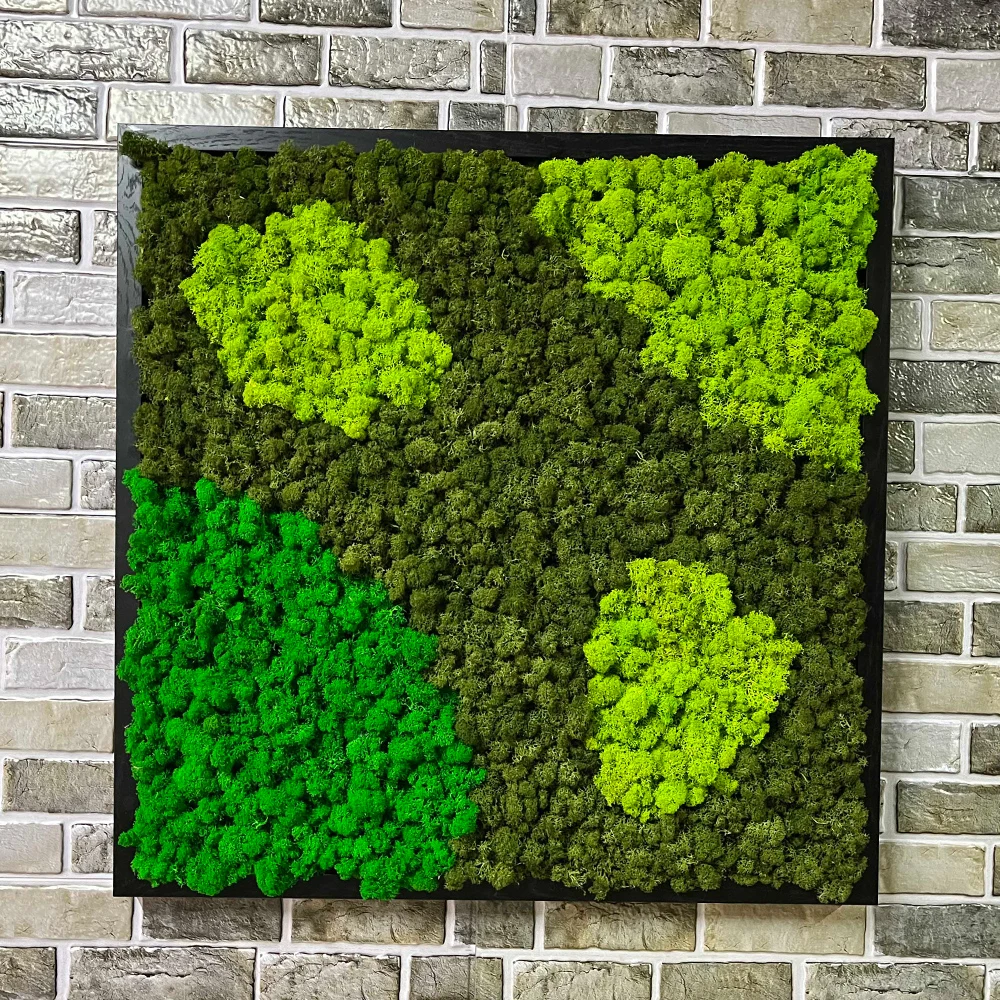 Wall decoration real preserved pole moss preserved reindeer moss wall hanging frame